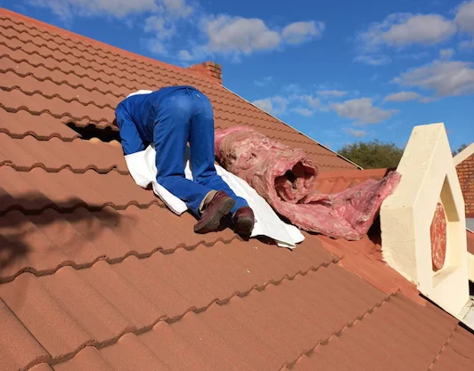 Roofing Cleaning